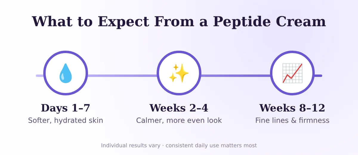 Timeline of realistic peptide cream results from days 1 to 7 through weeks 8 to 12