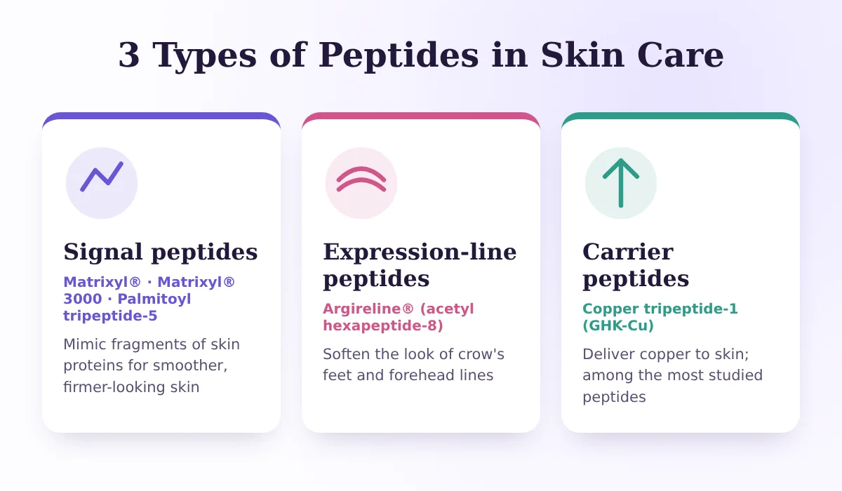 Infographic: the three types of peptides in skin care, signal, expression-line and carrier peptides